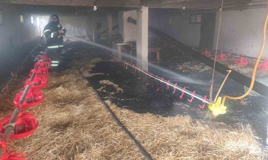 Bolu'da 10 bin kapasiteli kümeste çıkan yangın felaketi önlendi