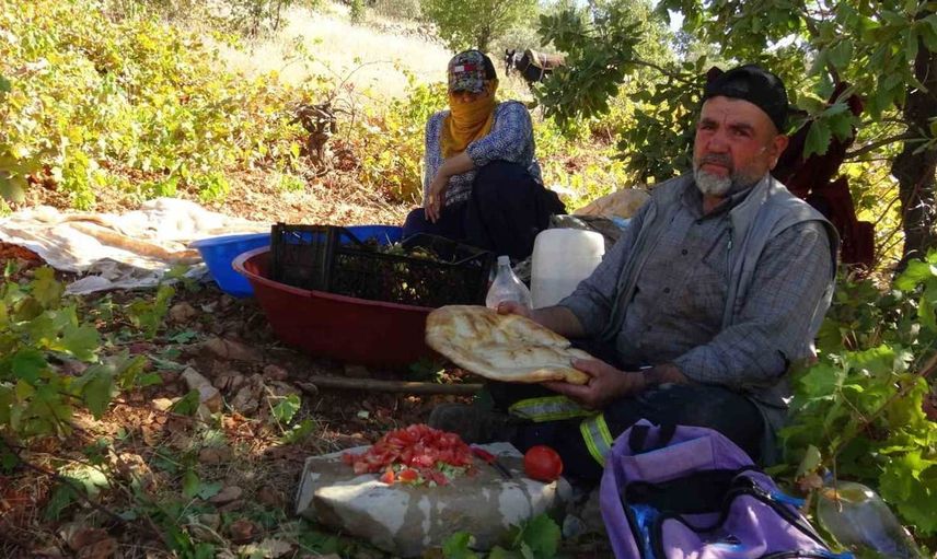 Batman’da üzüm hasadı başladı: Geleneksel kuru üzüm üretimi sürüyor