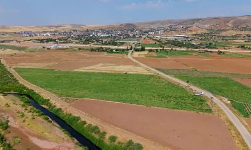 Kırıkkale'de kavun hasadı çiftçiyi sevindiriyor