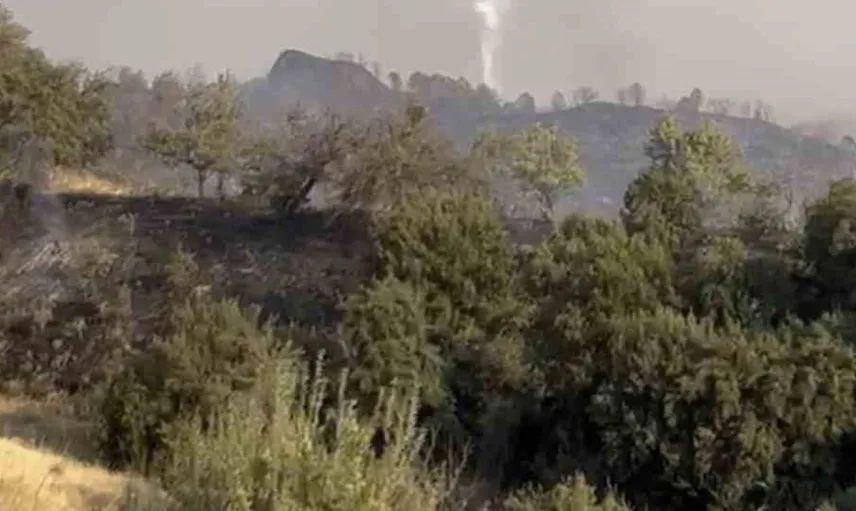 Turgutlu'daki makilik alanda yangın kontrol altına alındı