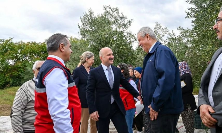 Dünya kadın çiftçiler günü etkinliğinde vali zeytin hasadı yaptı