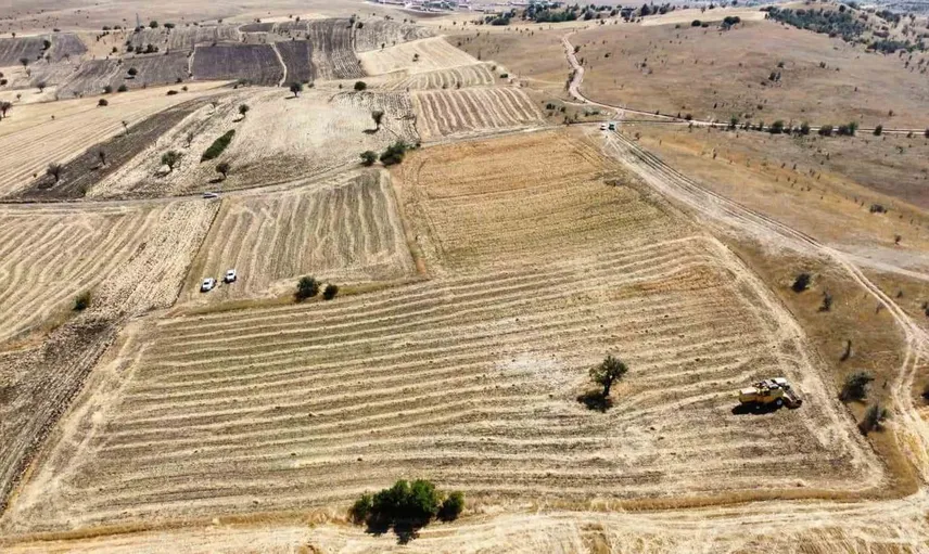Kütahya'da yeni nohut çeşidi hasadı başarıyla tamamlandı