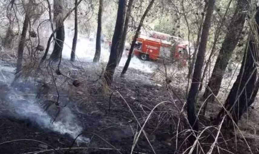 Fethiye'de orman yangını! Ekipler olay yerine intikal etti