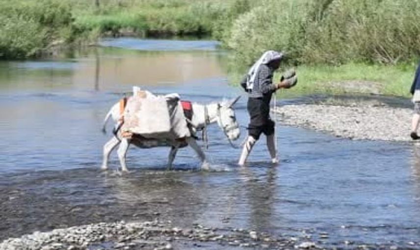 Şırnak yaylaları bu yıl göçer akınına uğradı