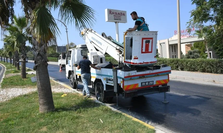Kuşadası'nda palmiyeler estetik ve güvenlik için bakıma alındı