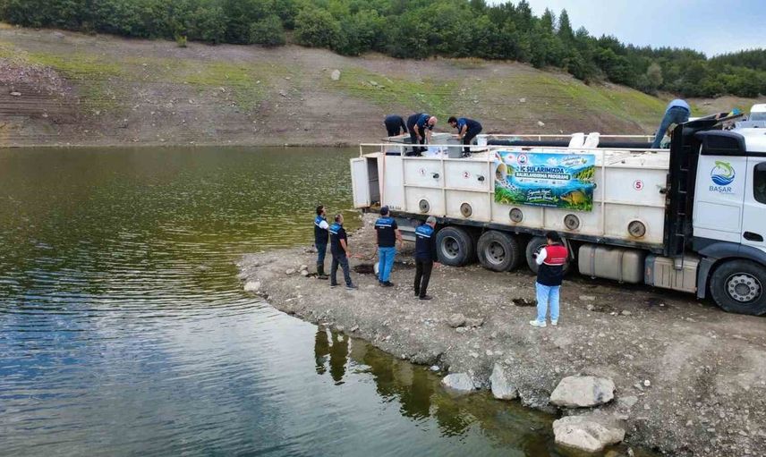 Kastamonu'da su kaynaklarına 800 bin sazan yavrusu bırakıldı