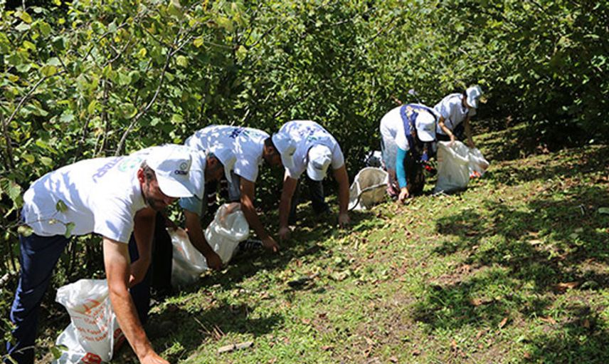 Fındık Üreticilerine 854 Milyon Lira Destek Yapıldı
