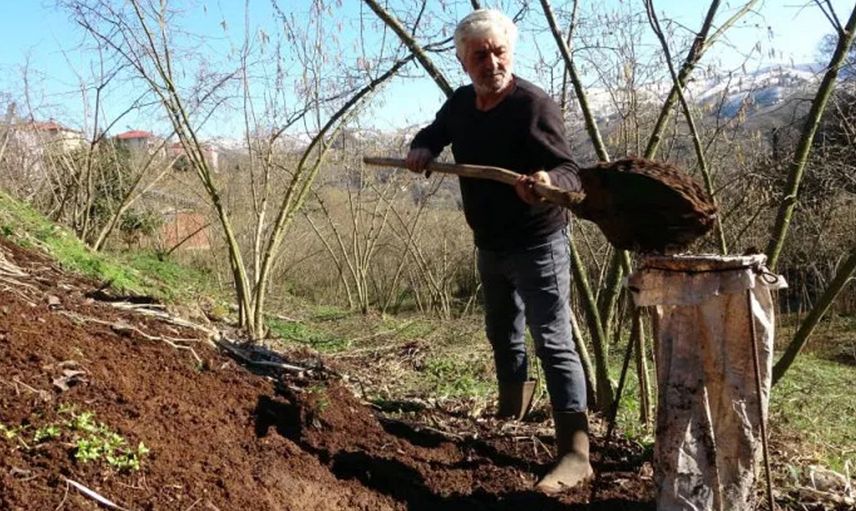 Fiyatı İkiye Katlandı! Hayvan Gübresine Talep Arttı