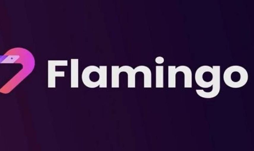 FLM coin alınır mı? Flamingo yatırım tavsiyesi var mı? FLM coin geleceği var mı?