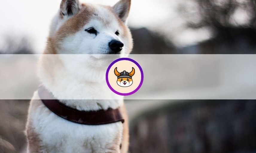 Floki Inu Nedir, Floki Inu Yorumu Nasıl?