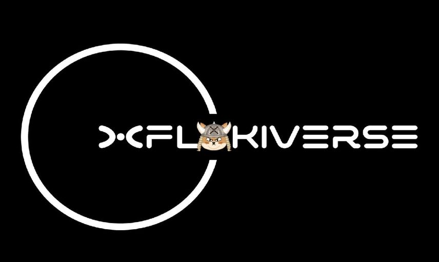 Flokiverse coin nedir? Flokiverse coin projesi ve yol haritası
