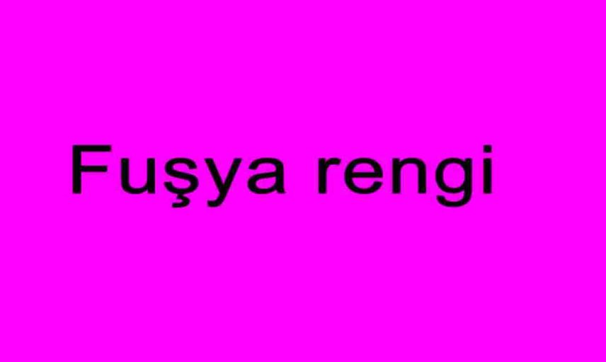 Fuşya nasıl bir renktir, ismini nereden almıştır? Fuşya renginin anlamı