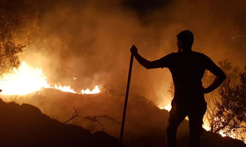 Gala Milli Parkı’nda yangın! Öğle saatlerinde başlayan yangın hala devam ediyor