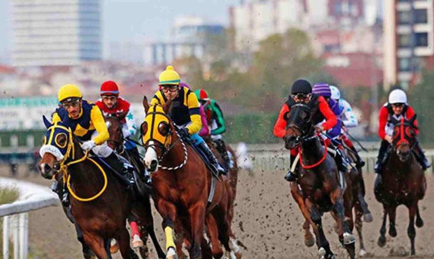 Gazi Koşusunda koşacak atlar hangileri? Gazi koşusu için 22 safkan kaydını yaptırdı