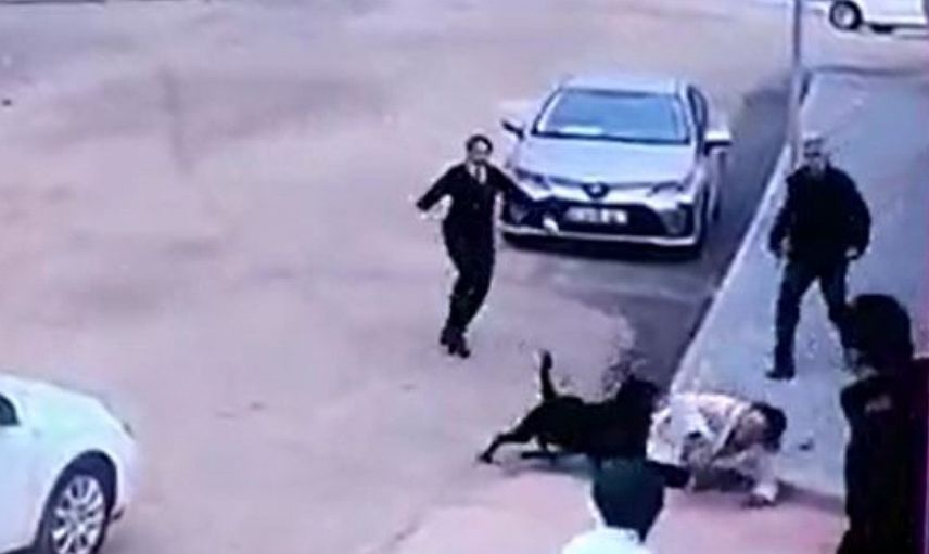 Gaziantep'te rottweiler okul önünde dehşet saçtı: 2 çocuk annesi ölümden döndü!
