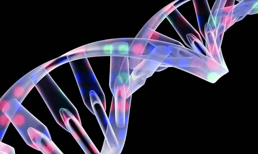 Genetik ve Biyomühendislik DGS 2022 taban puanları ve bölüm kontenjanları
