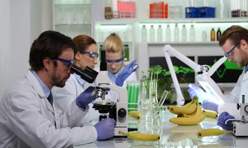 Gıda Mühendisliği DGS 2022 taban puanları ve bölüm kontenjanları