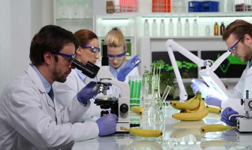 Gıda Teknolojisi DGS 2022 taban puanları ve bölüm kontenjanları