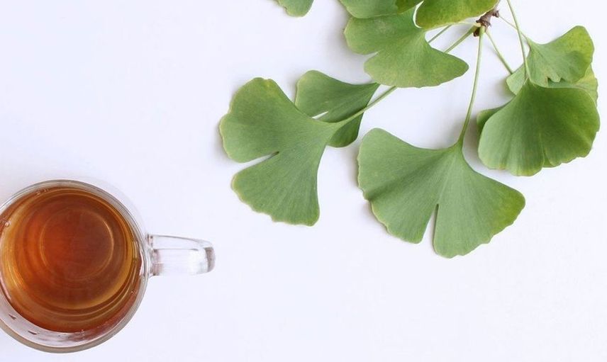 Ginkgo biloba nedir, ne işe yarar? 270 milyon yıllık geçmişe sahip olan ginkgo biloba şifa saçıyor