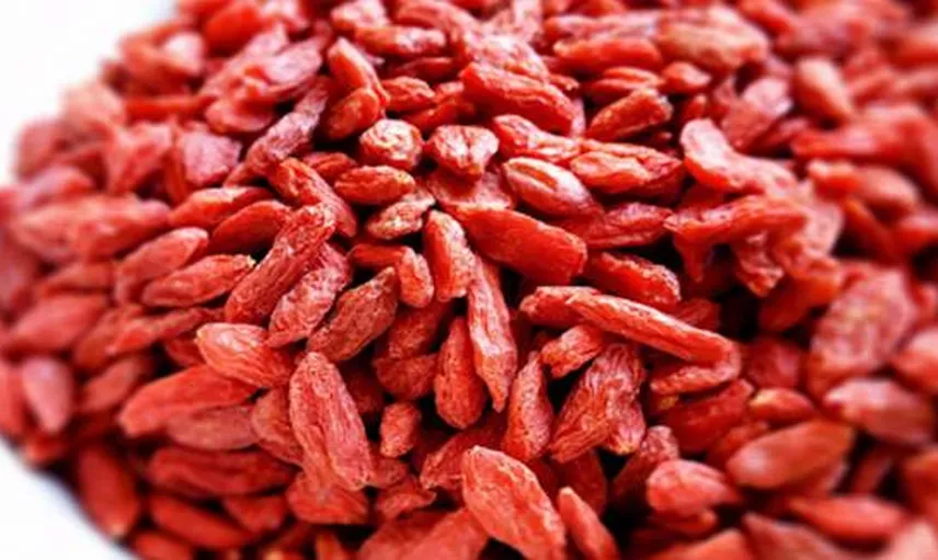 Gojiberry'nin (Kurt Üzümü) Faydaları Nelerdir?