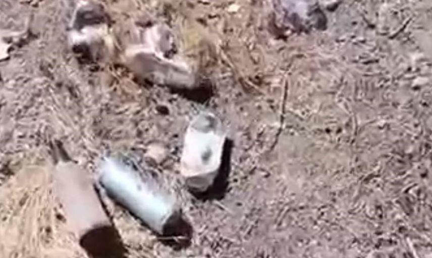 Gölet kenarlarına atılan çöpler tepki topluyor