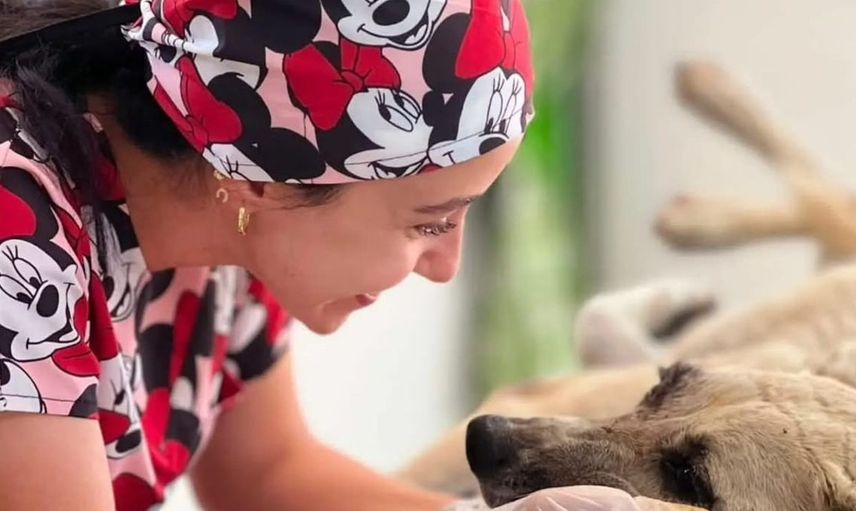 Gözüne bağ çubuğu saplanan köpeğin tedavisi başarıyla tamamlandı