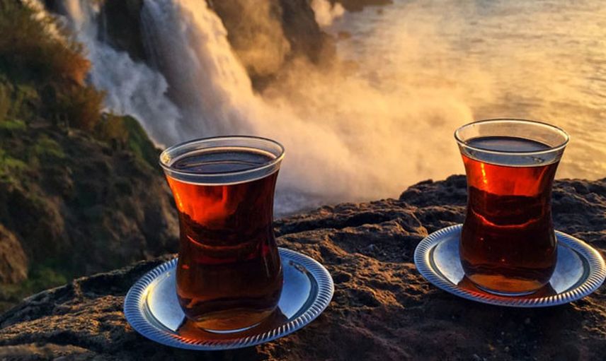 Günde Kaç Bardak Çay İçilmeli?