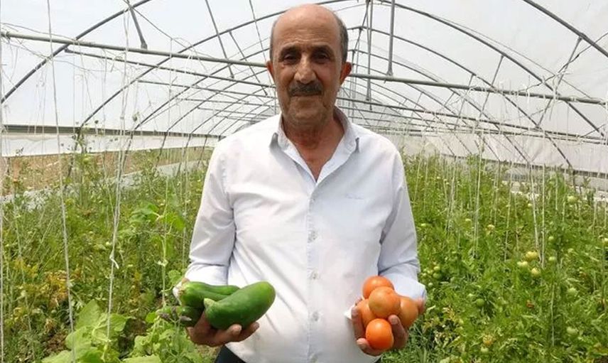 Hakkari'de bu yazıyı gören buraya geliyor! Her şey bedava!