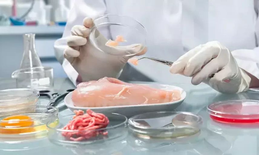 Hamburgerden at eti çıktı