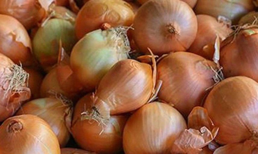 Hamile kadınlar soğan yiyebilir mi? Hamileler için soğan yemenin faydaları ve zararları
