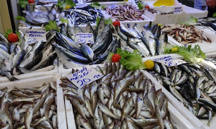 Hamsi ve İstavrit Yüzleri Güldürdü