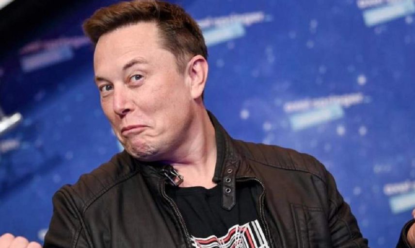Hamster coin nedir, neden yükseliyor? Hamster coin Elon Musk Tweeti