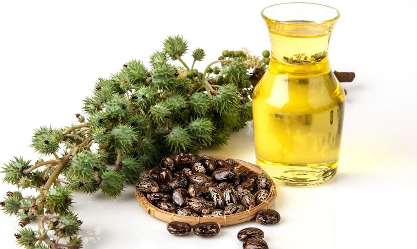 Hangi hastalıklar bele vurur? Bel ağrısının ilacı Hint yağında saklı