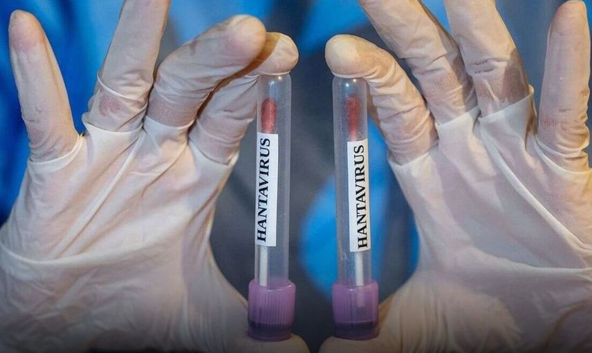 Hantavirüs Şüphesiyle Getirilen Türk Vatandaşlarının Testleri Negatif Çıktı