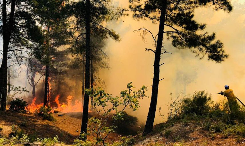 Hatay ve Muğla’da korkutan yangın: Ekipler müdahale ediyor