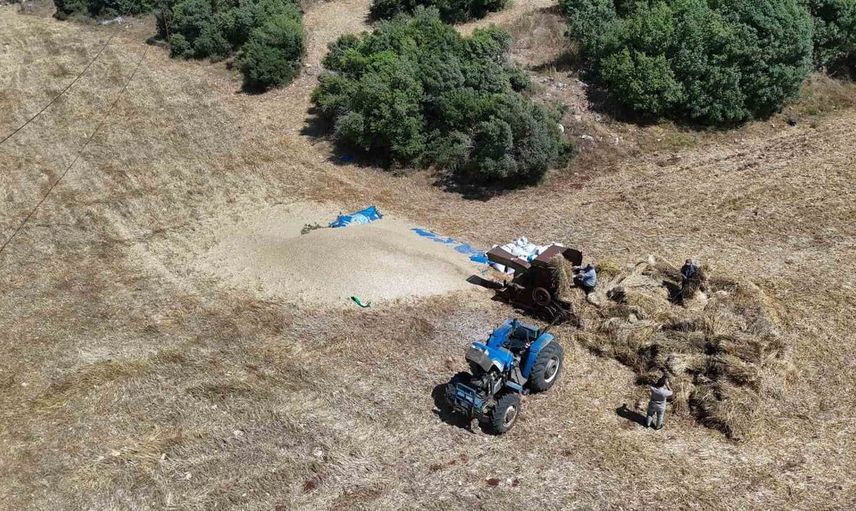 Hatay'da çiftçiler, kavurucu sıcakta buğday hasadına devam ediyor
