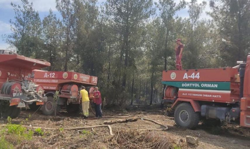 Hatay’da Çıkan Orman Yangınında 1 Hektarlık Alan Zarara Uğradı