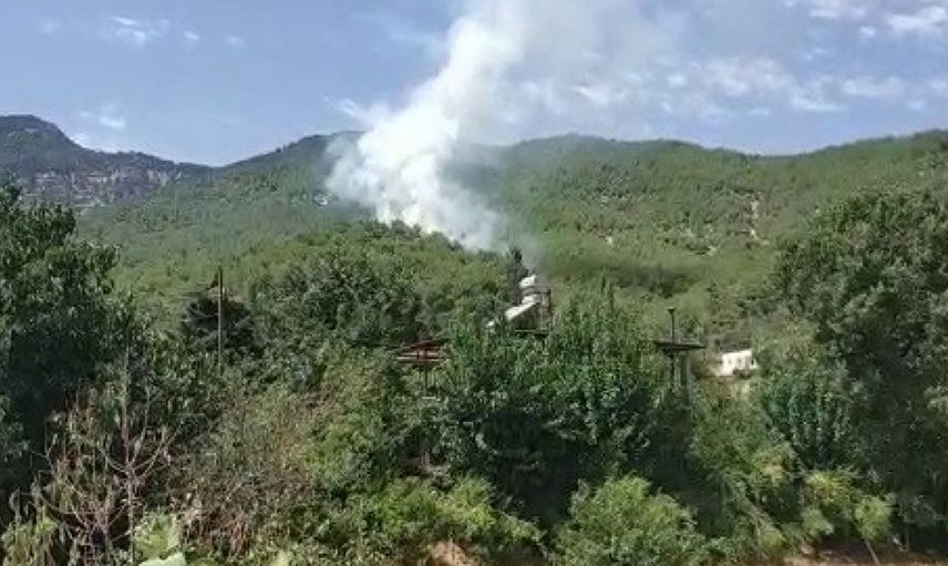 Hatay'da korkutan orman yangını! Ekipler seferber oldu