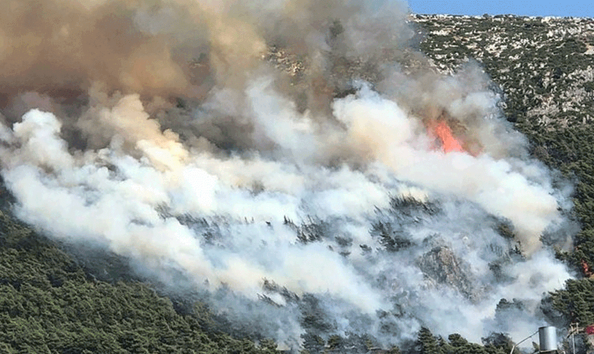 Hatay'da Yerleşim Yerlerine Yakın Bir Alanda Yangın