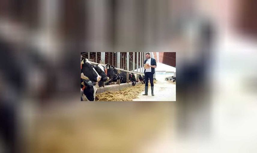 Hayvansal Üretim Teknolojileri DGS 2022 taban puanları ve bölüm kontenjanları