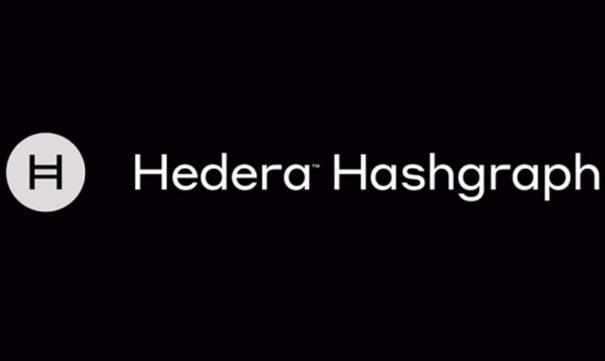 Hedera Hashgraph Nedir, Yorumu ve Geleceği Nasıl?