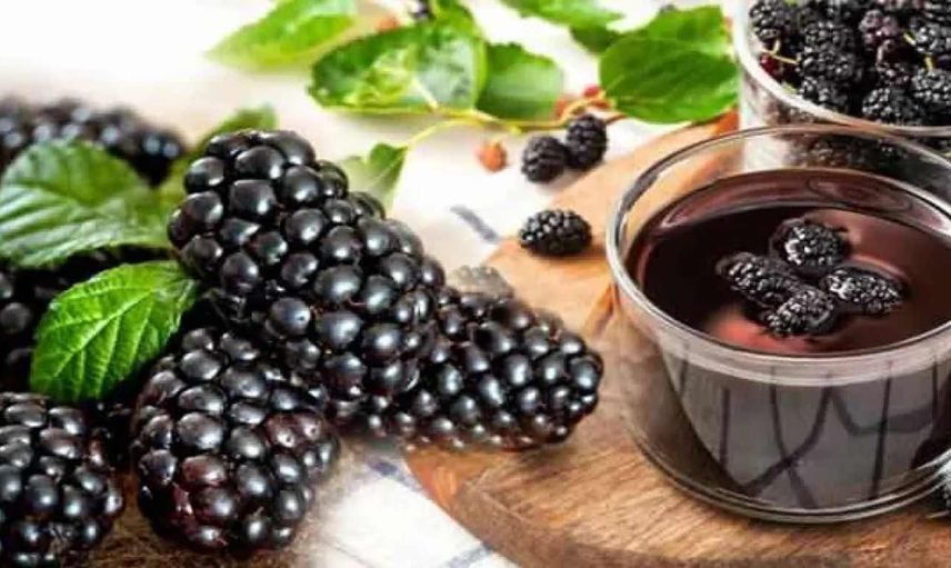 Her derde deva karadut şurubunun faydaları saymakla bitmiyor! İşte karadut özü ve şurubunun mucizevi etkileri