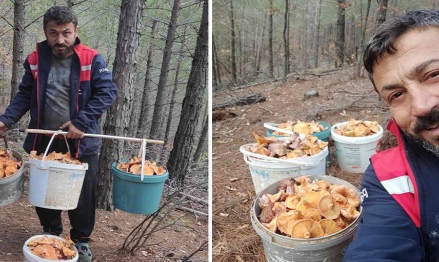 Her yıl ormanda toplayıp satıyor: Aylık kazancı 90 bin liraya ulaşıyor