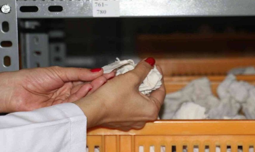Herşey Türk tarımının geleceği için: Tohumlar soğuk ortamda muhafaza ediliyor