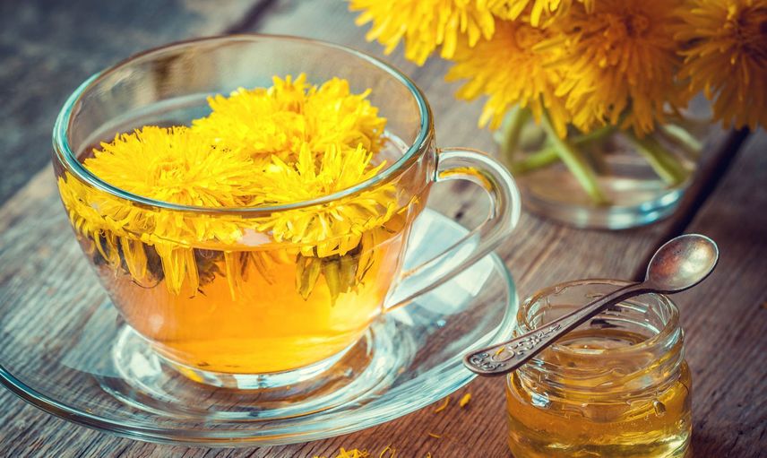 Hindiba nedir, faydaları nelerdir, neye iyi gelir? Hindiba çayı ve kahvesi nasıl demlenir? Vitamin zengini hindibanın yararları