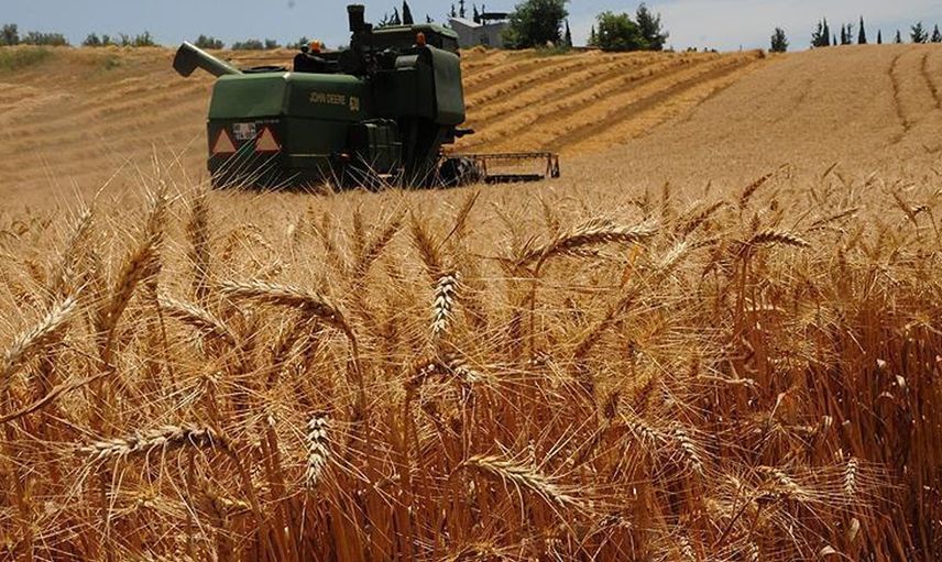 Hindistan'dan çağrı! Kotalar kaldırılsın, dünya doysun