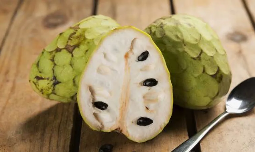 Hint Ayvasının Faydaları Nelerdir?