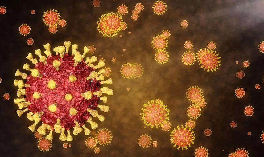 Hong Kong Üniversitesi Tüm Dünyaya Korku Salan Omicron Varyantını İlk Kez Görüntüledi