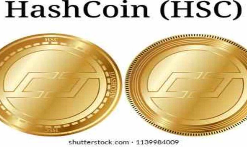 Hsc coin nedir? HashCoin coin projesi ve yol haritası