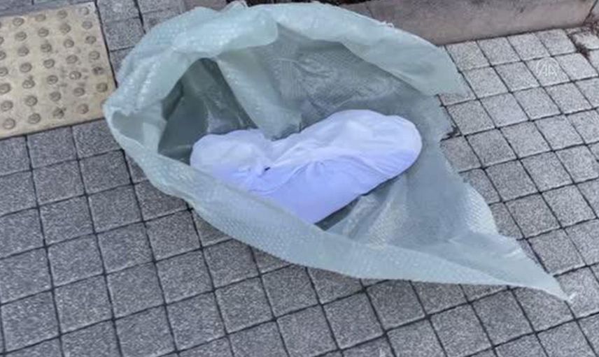 İBB Binası Önünde Ölü Köpek Skandalı!